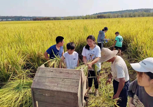 稳定的供货渠道